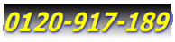0120-917-189 